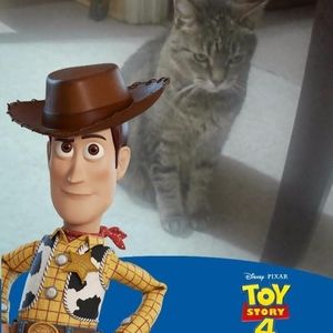 Meet your Posher, Daisy